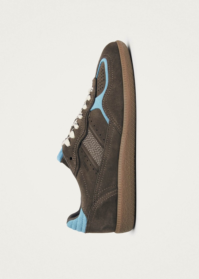 Women's Tb.490 Rife Taupe Cornflower Blue Leather Sneakers