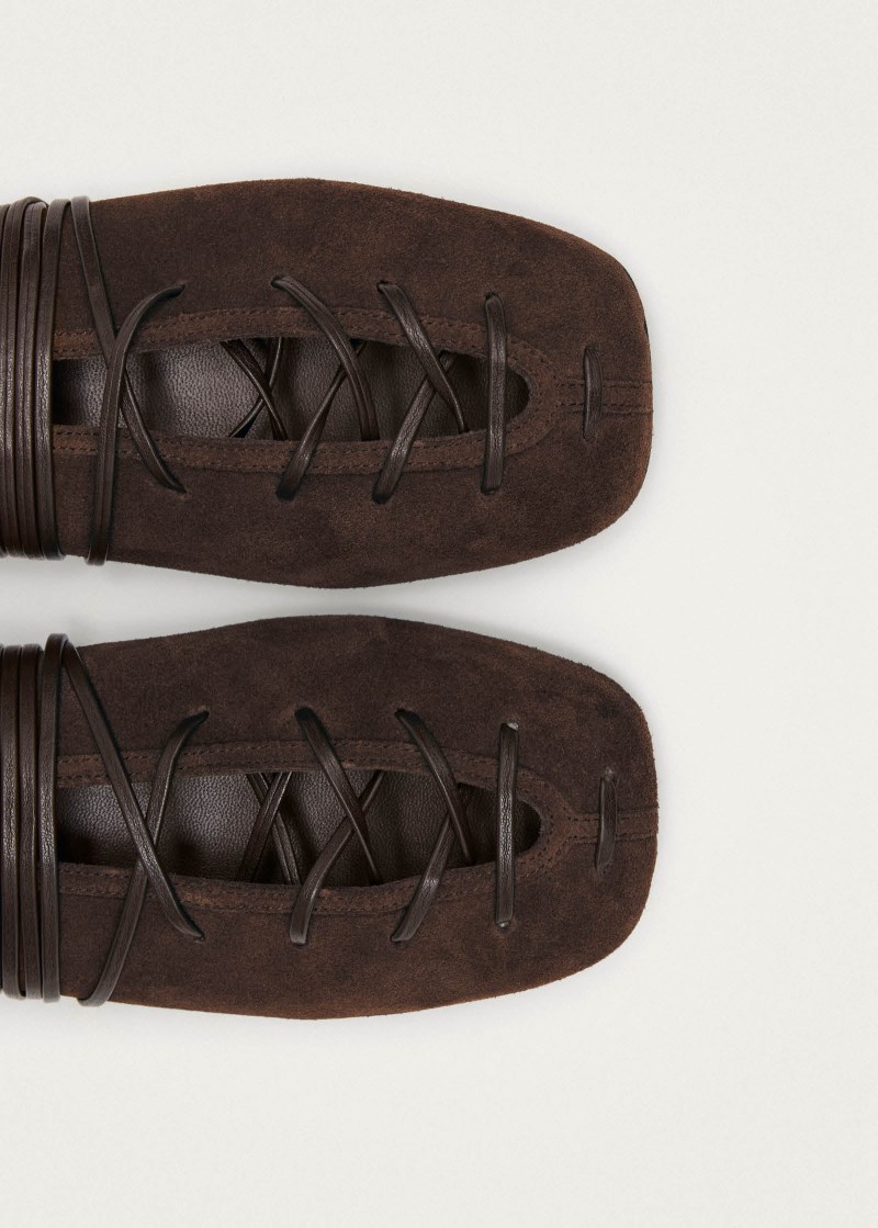 Women's Bumi Suede Brown Leather Ballet Flats